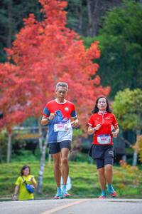 BIB: 8092, 8087
                            <button type="button" onclick="openModal(19239829)" class="btn btn-primary btn-sm float-right btn-popup" data-toggle="modal" data-target=".modal-high-quality">
                        <i class="fas fa-shopping-cart"></i> Add to Cart
                    </button>
                                            <button type="button" onclick="isThisMe(19239829, true)" class="btn btn-success btn-sm float-right btn-popup btn-isme hidden" data-toggle="tooltip" data-placement="bottom" title="นี่คือรูปของคุณใช่ไหม คลิกที่นี่เพื่อเอาเข้าอัลบั้ม">
                        <i class="fas fa-plus"></i> Add to album
                    </button>
                    <button type="button" onclick="isThisMe(19239829, false)" class="btn btn-warning btn-sm float-right btn-popup btn-isnotme hidden">
                        <i class="fas fa-ban"></i> Remove from album
                    </button>